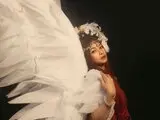 Videos adoredior
